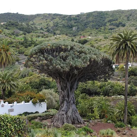 Jema Playa San Marcos By Hrtenerife Net Apartman Icod de los Vinos