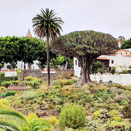 Jema Playa San Marcos By Hrtenerife Net Apartament Icod De Los Vinos