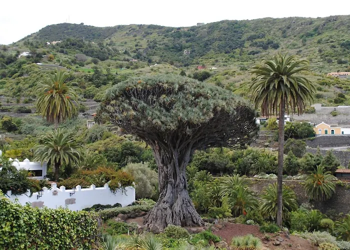 Jema Playa San Marcos 아파트 이코드레로스비노스